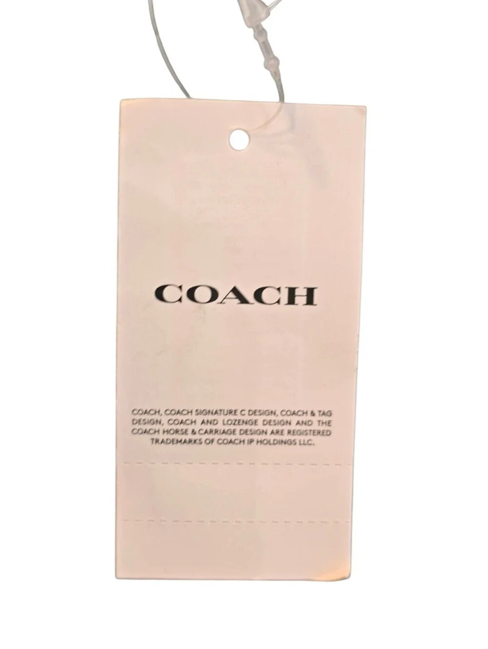 Coach Cashin Sage Green Blue Leather Mini Crossbody Tote